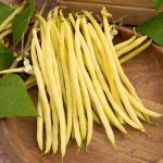 Légumes Secs - Haricot Grimpant Beurre Monte Gusto - 5 m  - face recto